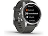 Garmin fenix 7S Pro Solar 42mm GPS (silver/graphite) Smartklokker