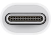 Apple Thunderbolt adapter (hvit) Kabeladaptere & overganger