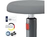 Leitz Ergo Cosy Active Sit Stand Balansestol (grå) Kontorstoler