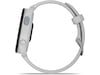 Garmin Forerunner 165 Music 43mm GPS (tåkegrå/whiteshone) Smartklokker