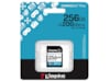 Kingston Canvas Go! Plus SDXC 256GB Minnekort til foto & video