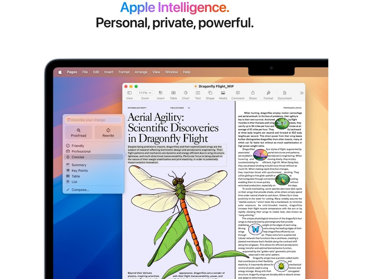 MacBook Air 15" M4 (2025) 256GB (himmelblå) PC - Bærbar / laptop