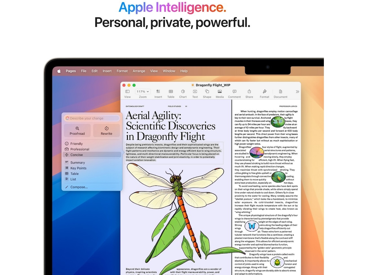 MacBook Air 15" M4 (2025) 256GB (stjerneskinn) PC - Bærbar / laptop