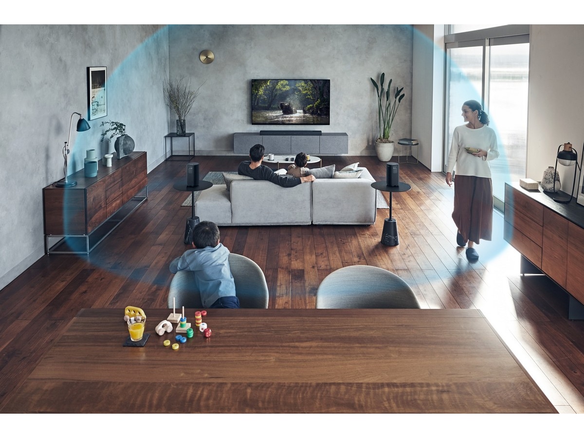 Sony SA-RS5 Premium bakhøyttalere  -B-Grade Demo DVD/Hi-Fi/stereo