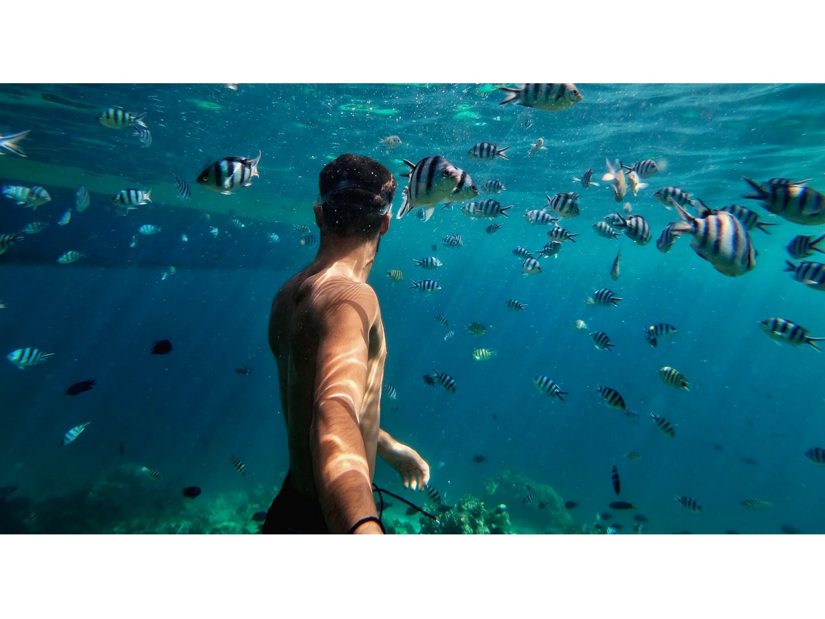 GoPro HERO11 Black Mini Protective Dive Housing Tilbehørssett til kamera