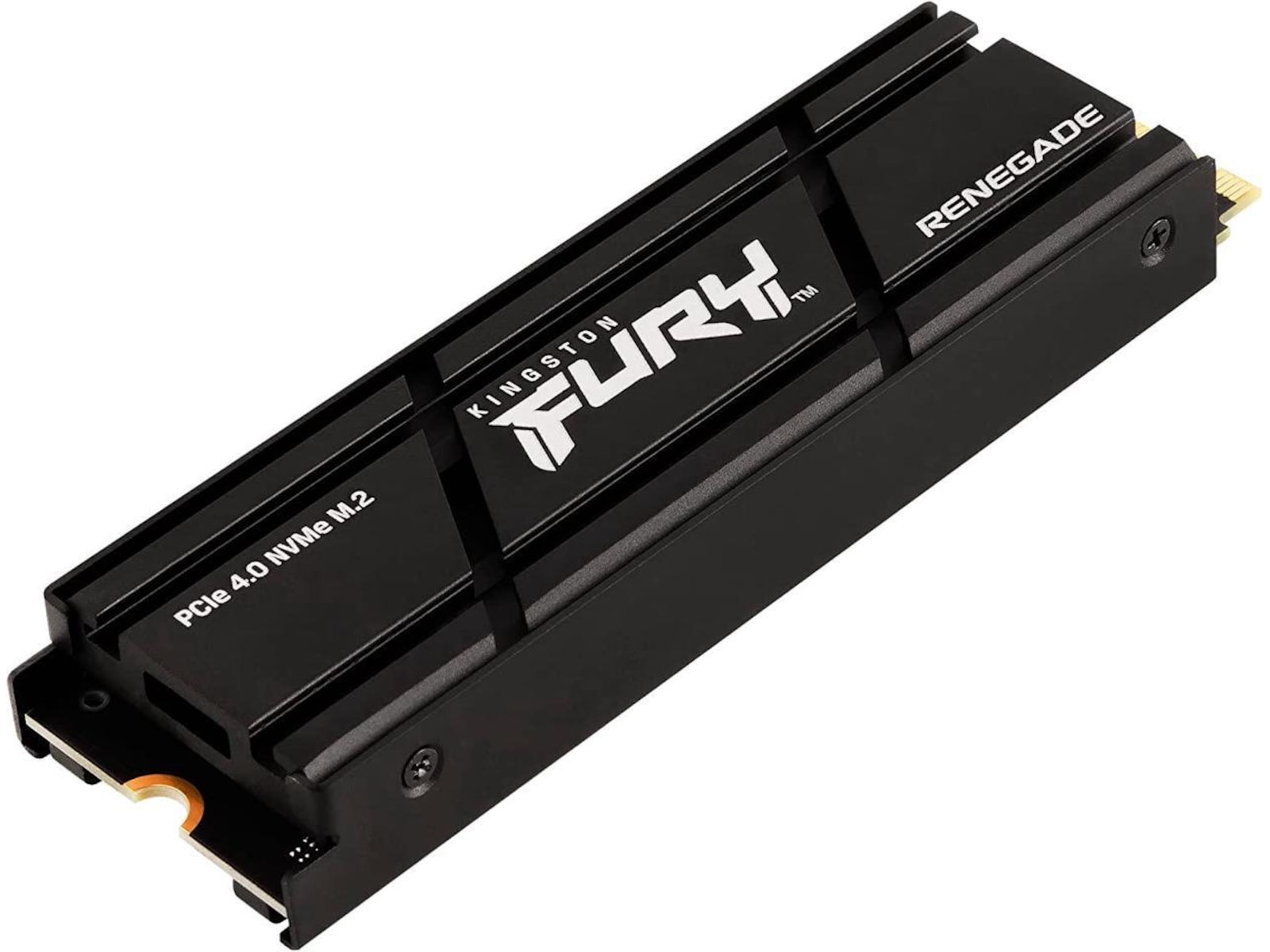 Kingston FURY Renegade M.2 2280 SSD 1TB SSD M.2