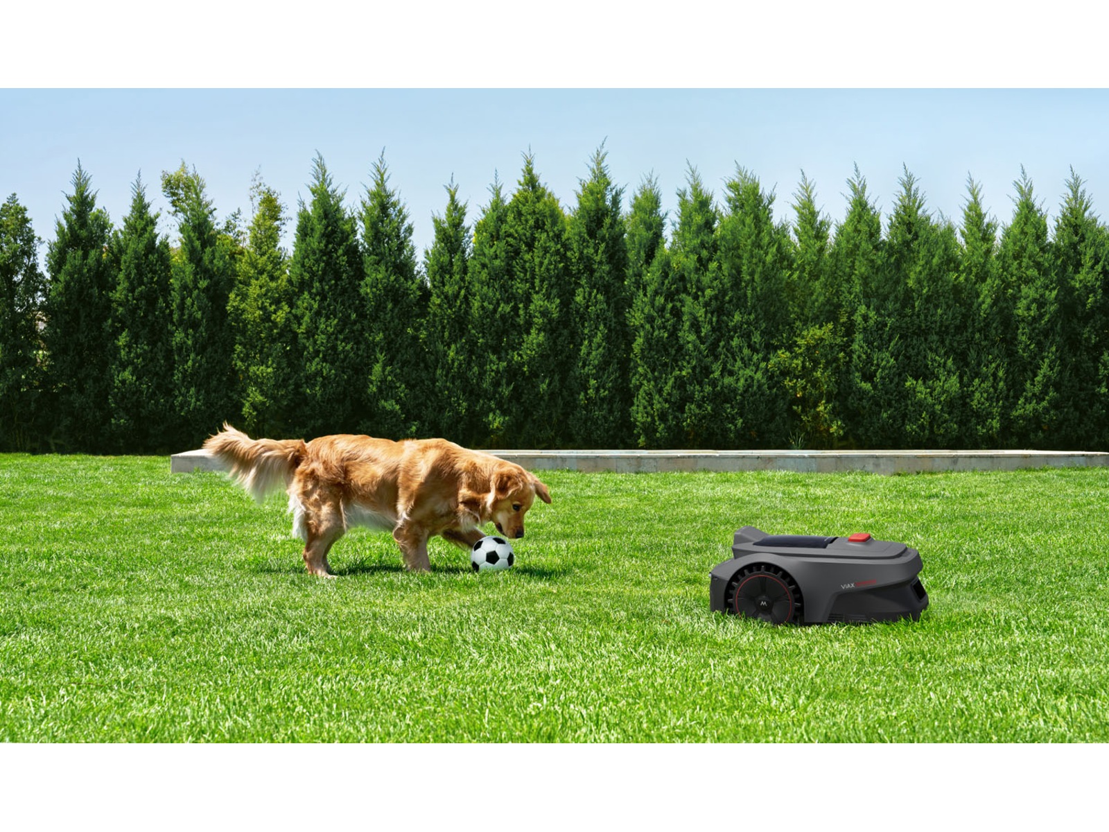 Mova Robotic Mower ViAX 300m2 Robotgressklipper