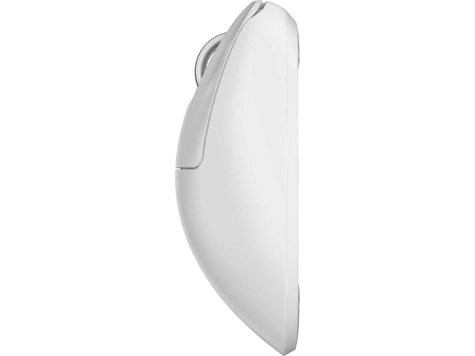 Pulsar Xlite V4 Large Trådløs gamingmus (hvit) Gamingmus