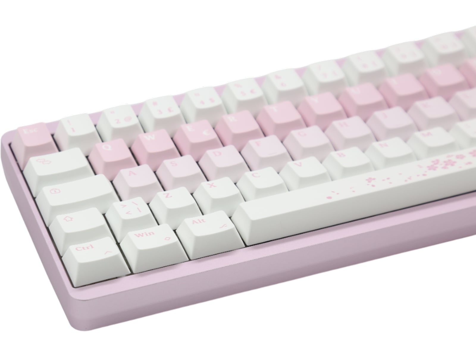 Varmilo Muse65 HE Sakura 65% Gamingtastatur Gamingtastatur
