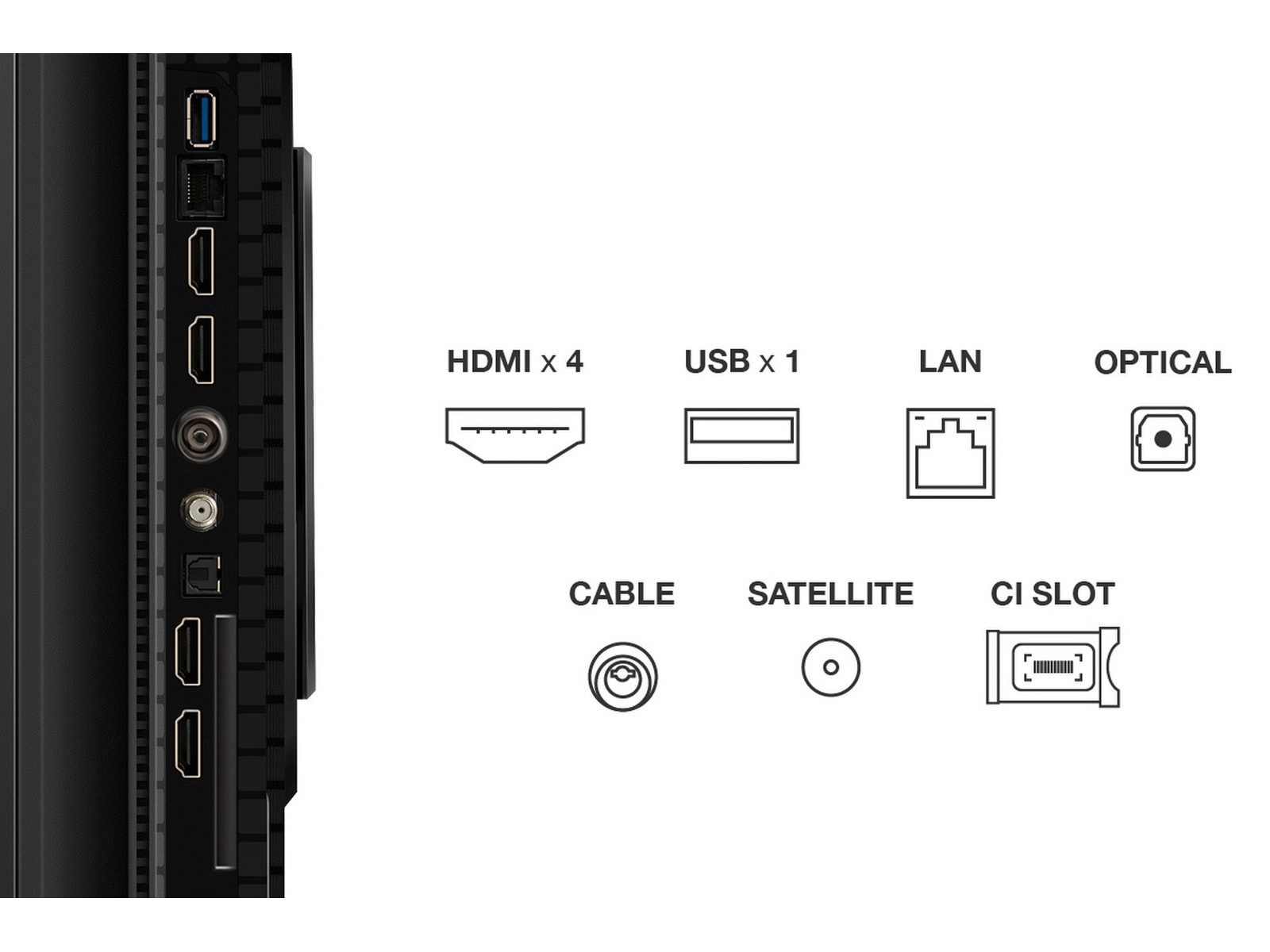 TCL 65" T8C 4K QLED Google TV (2025) 60 - 69 tommer TV