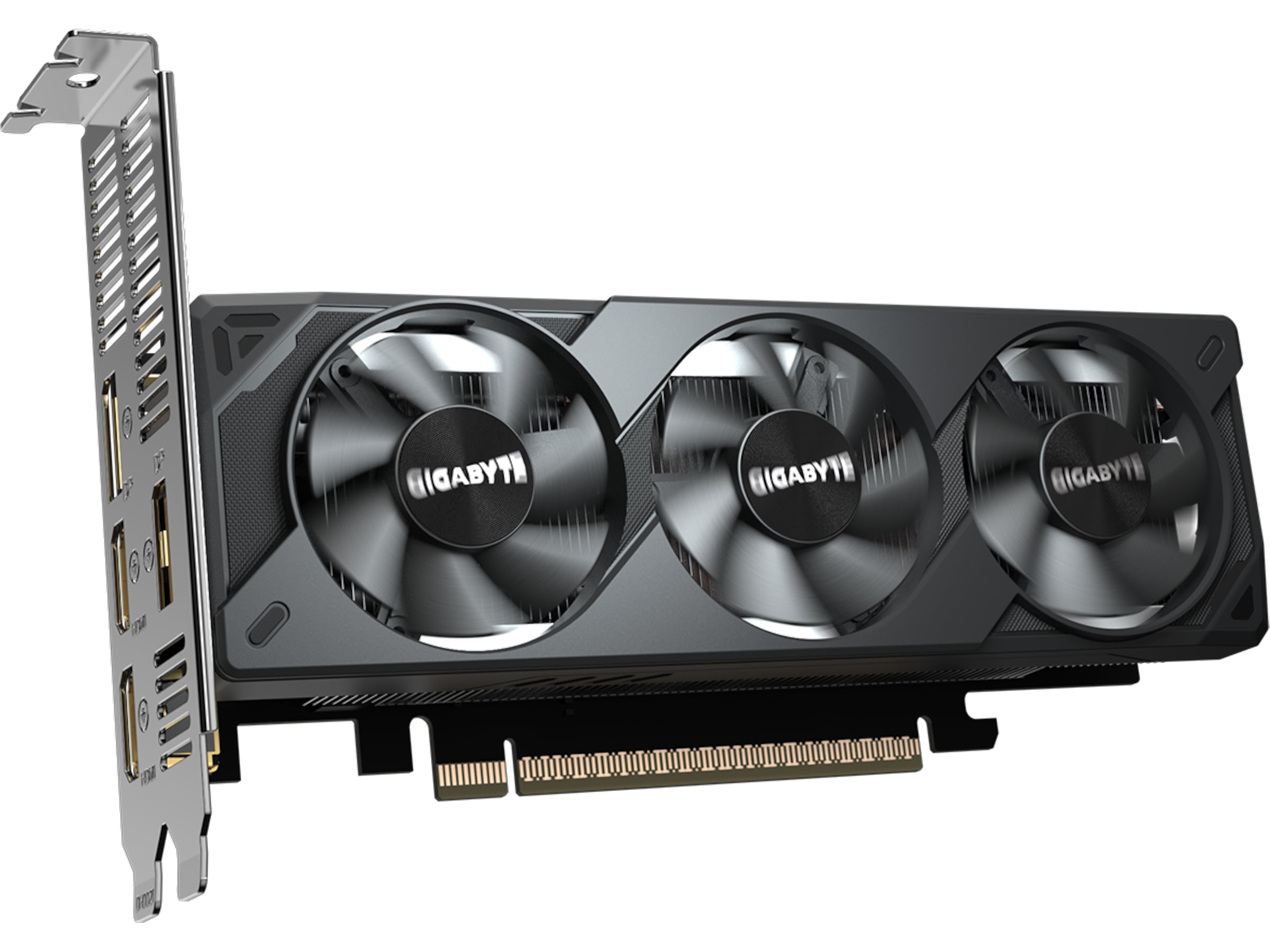 Gigabyte GeForce RTX 5050 OC Low Profile Skjermkort