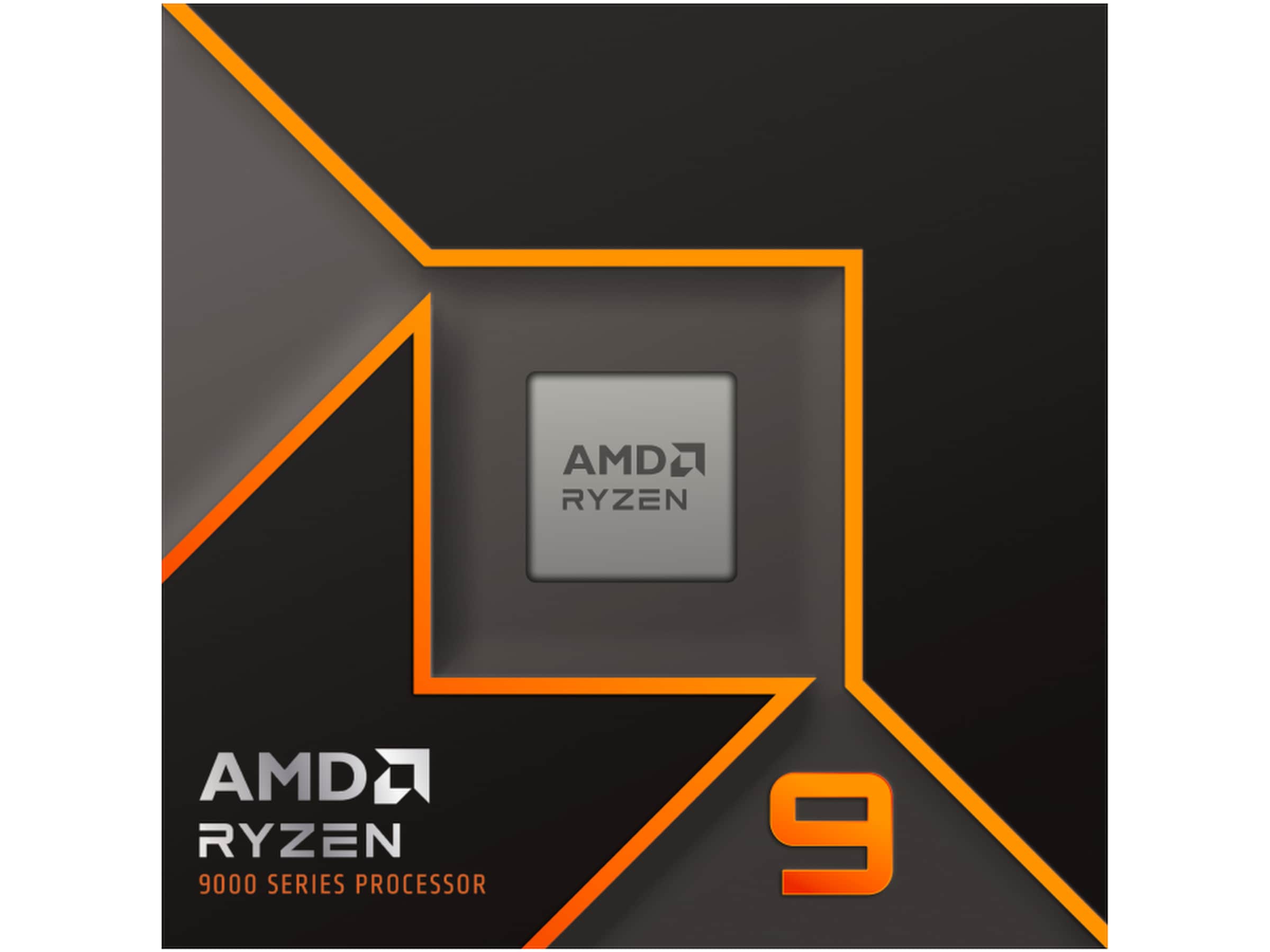 AMD Ryzen 9 9900X CPU Prosessorer