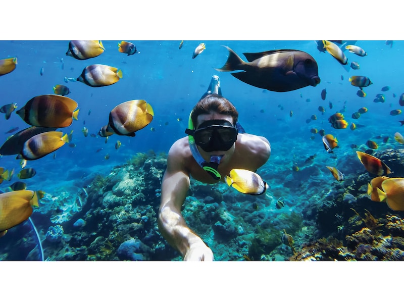 GoPro HERO11 Black Mini Protective Dive Housing Tilbehørssett til kamera