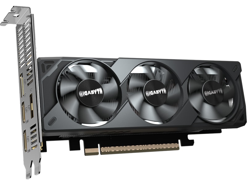 Gigabyte GeForce RTX 5050 OC Low Profile Skjermkort