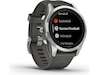 Garmin fenix 7S Pro Solar 42mm GPS (silver/graphite) Smartklokker