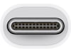 Apple Thunderbolt adapter (hvit) Kabeladaptere & overganger