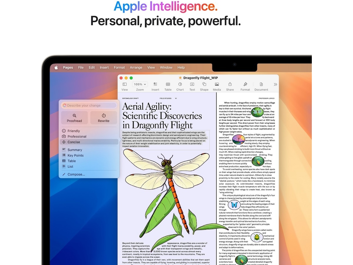 MacBook Air 13" M4 (2025) 256GB (stjerneskinn) PC - Bærbar / laptop