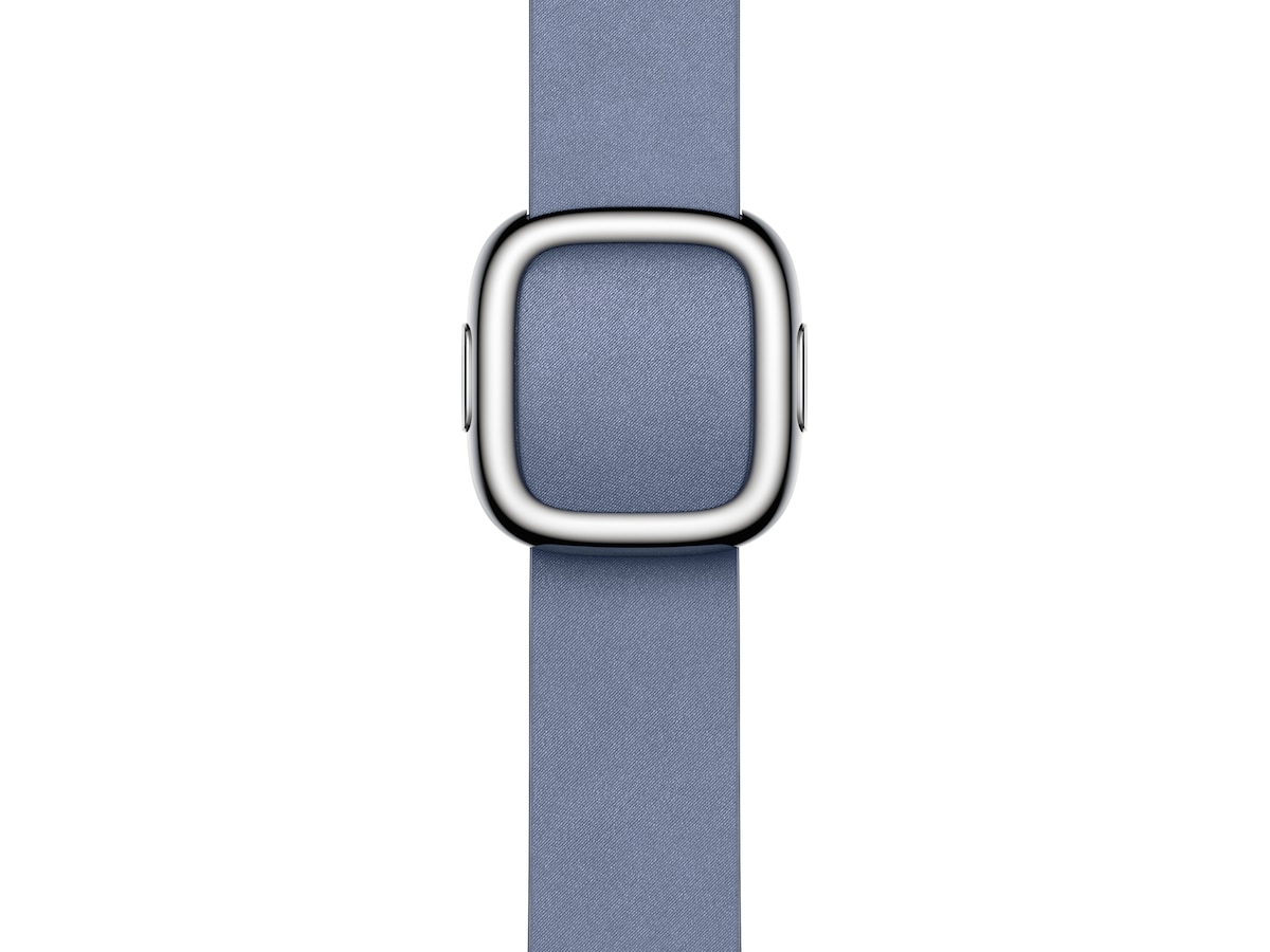 Apple Watch 41mm Modern Buckle L (lavendelblå) Reim