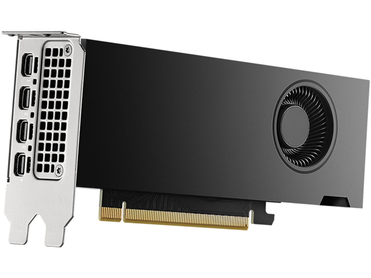 PNY Nvidia RTX 2000 Ada Generation Skjermkort