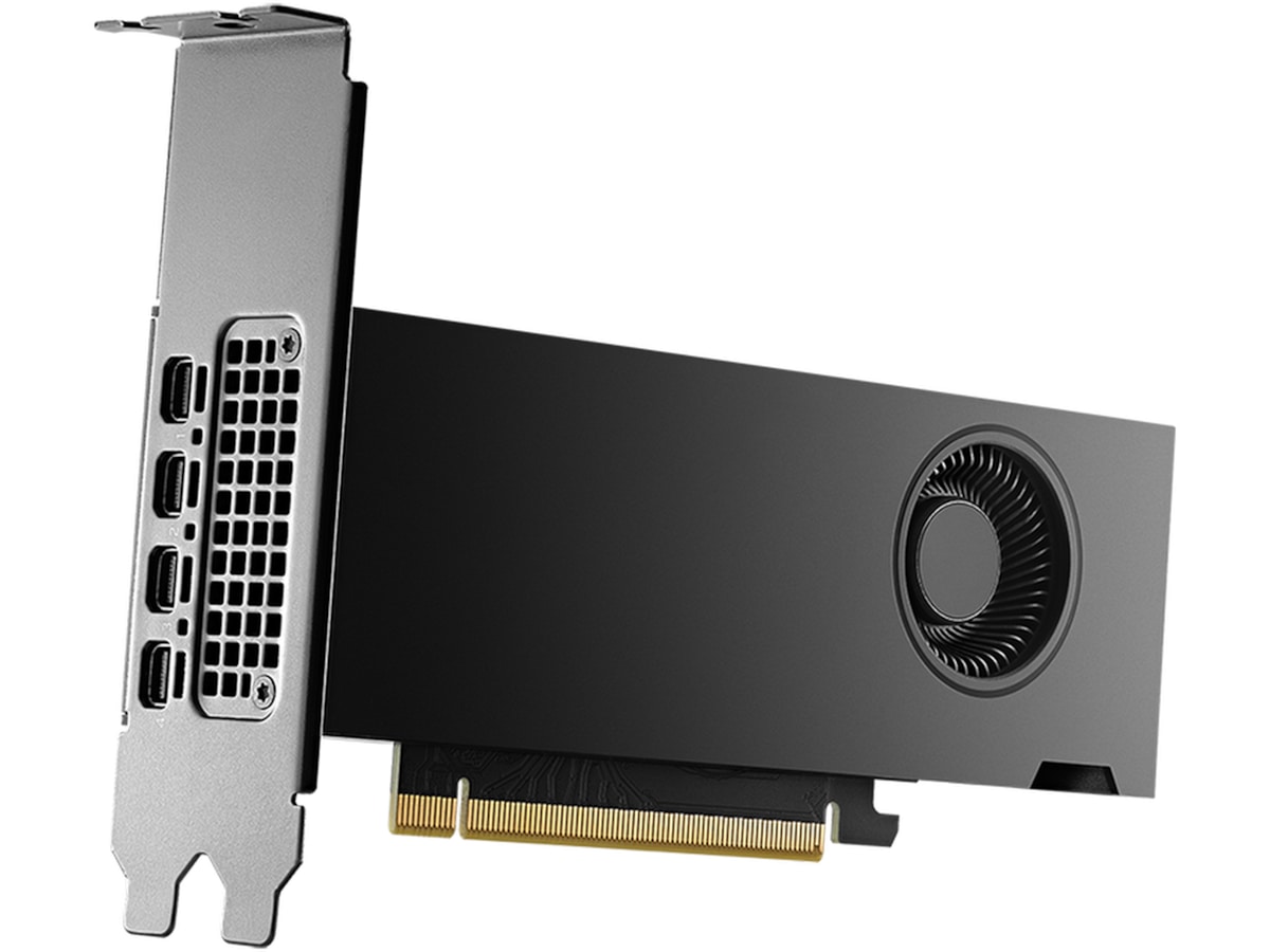PNY Nvidia RTX 2000 Ada Generation Skjermkort
