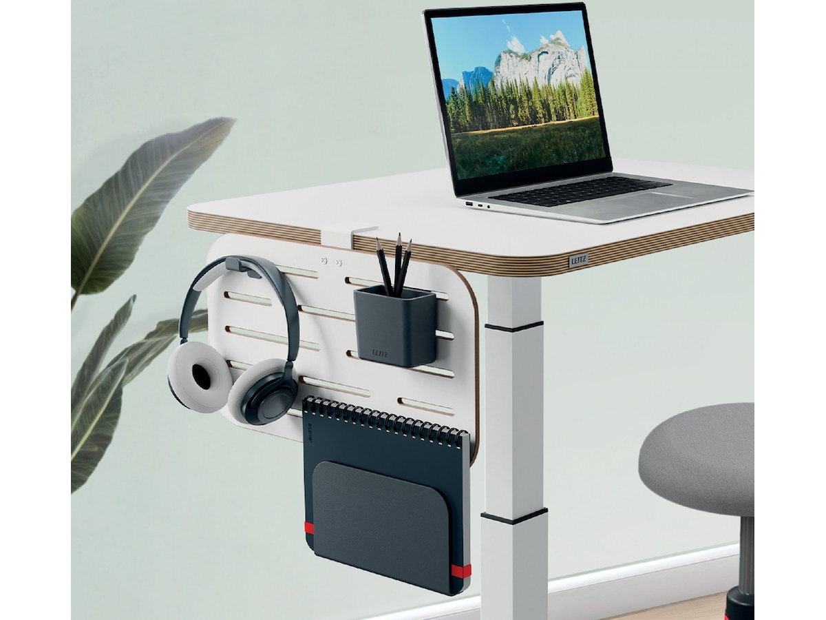 Leitz Ergo Organiseringstavle Pegboard, liten 42 x 25 cm Monteringstavler