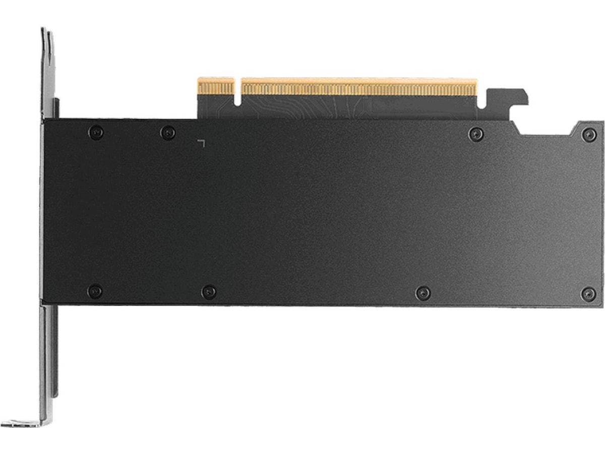 PNY NVIDIA RTX PRO 2000 Blackwell Skjermkort