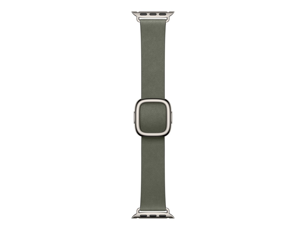 Apple Watch 42mm Modern Buckle (sage gray) Reim