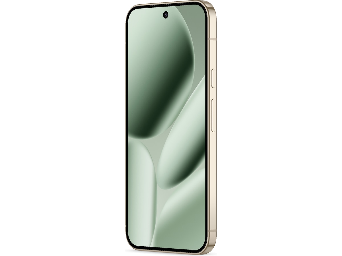 Google Pixel 10 Pro XL 256GB (jade) -B-Grade Demo mobiltelefoner
