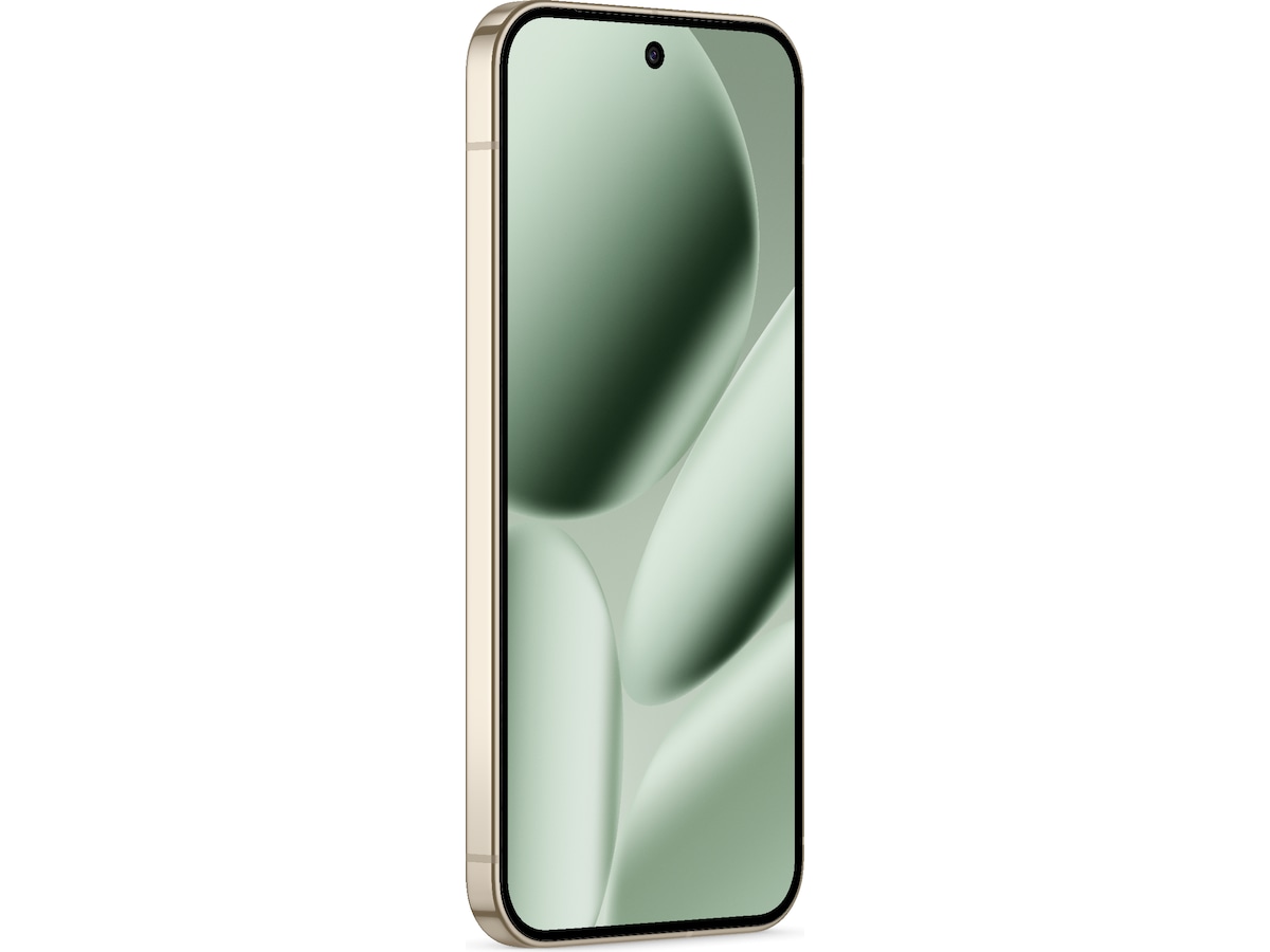 Google Pixel 10 Pro XL 256GB (jade) -B-Grade Demo mobiltelefoner