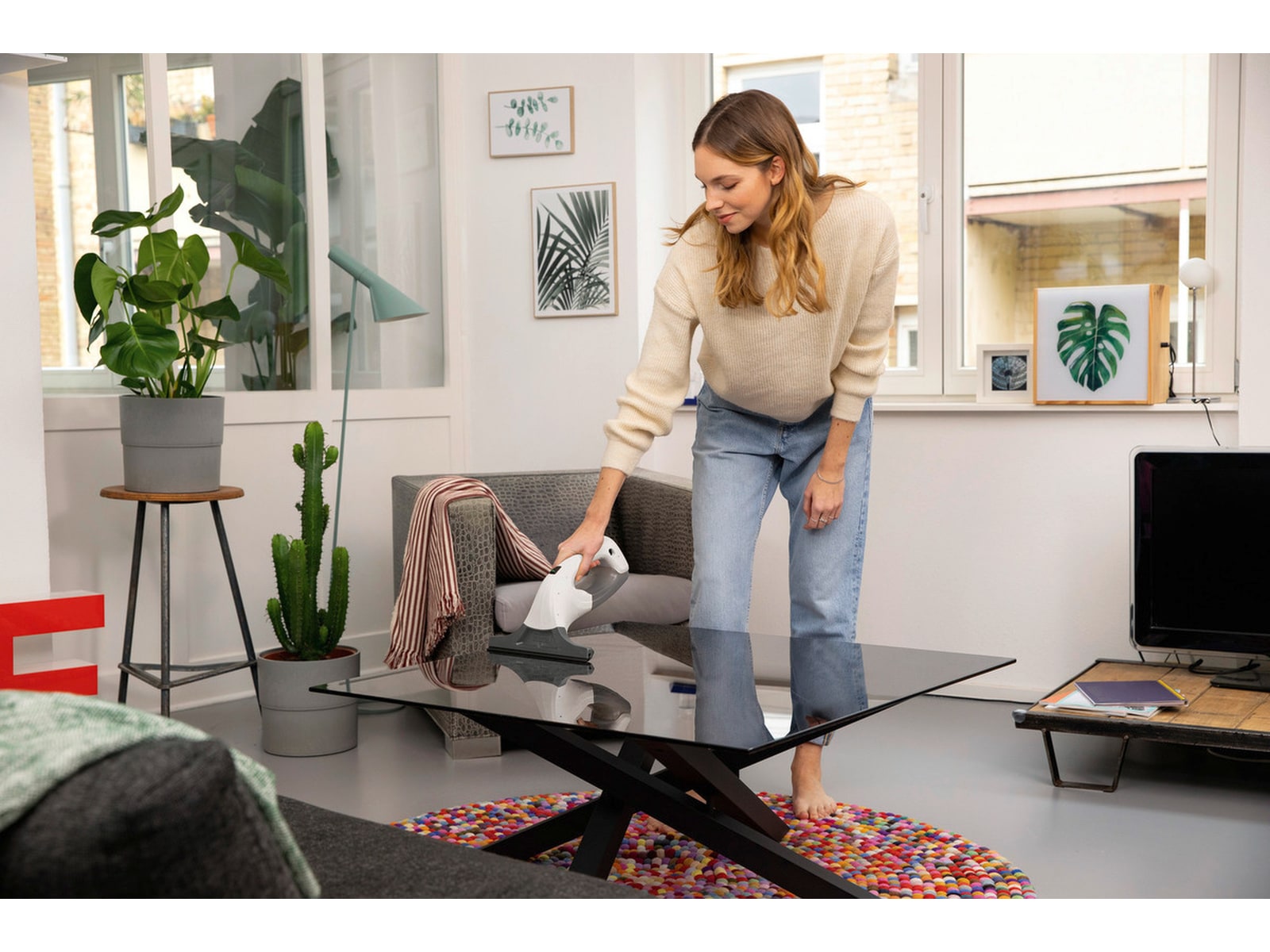 Kärcher WV 1 Plus Vindusvasker Vindusvaskere