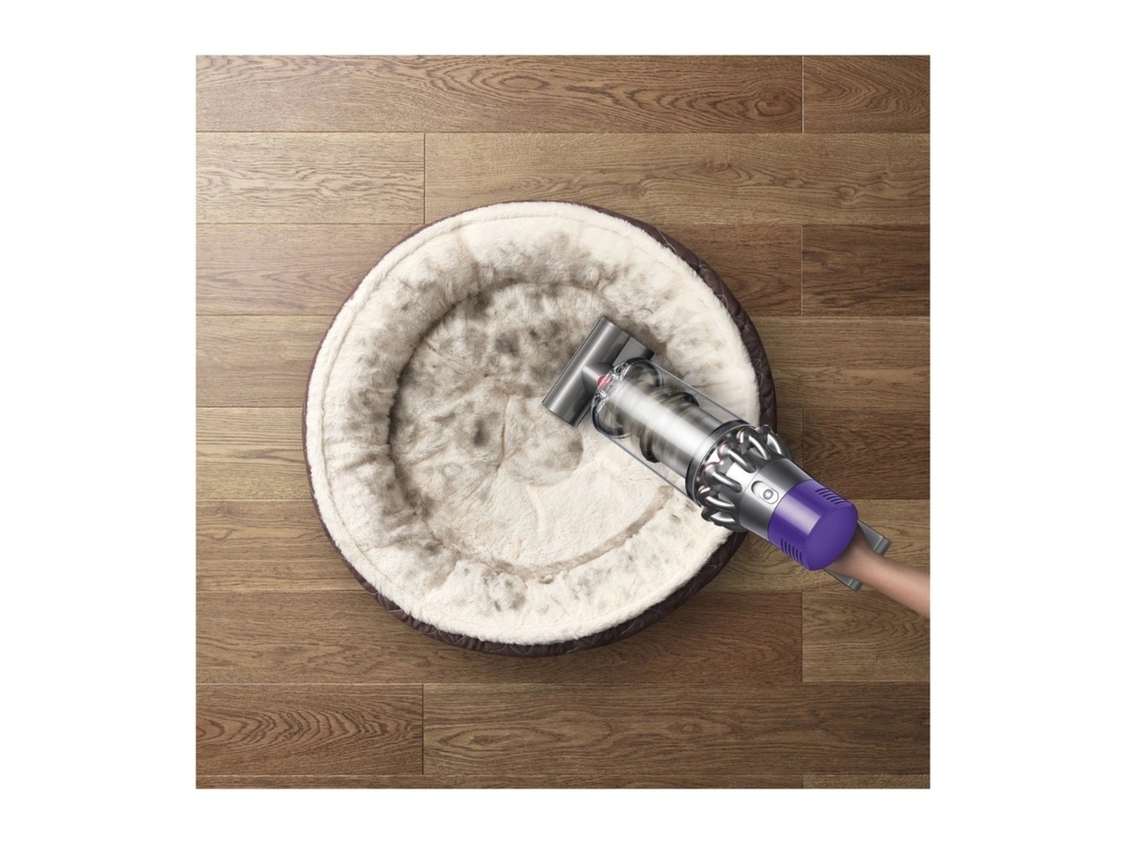 Dyson Cyclone V10 Absolute trådløs støvsuger -B-Grade Demo hjem & fritid