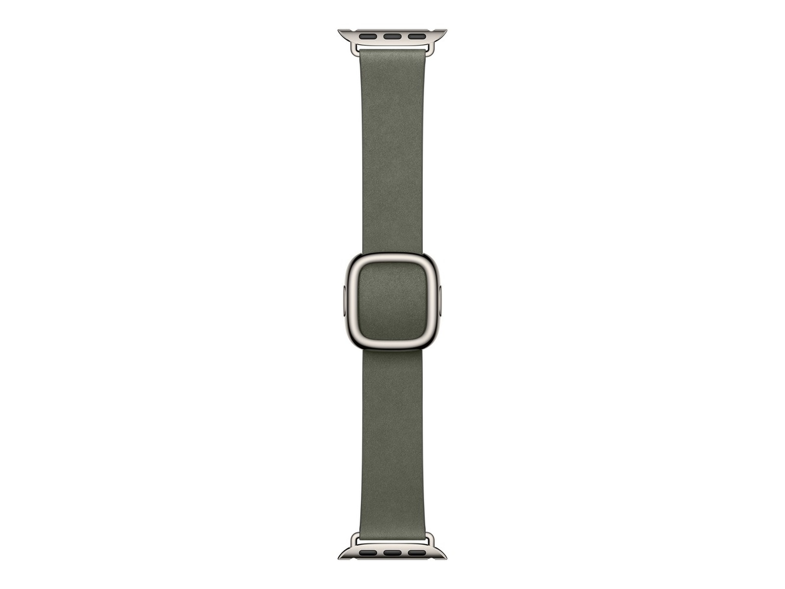 Apple Watch 42mm Modern Buckle (sage gray) Reim