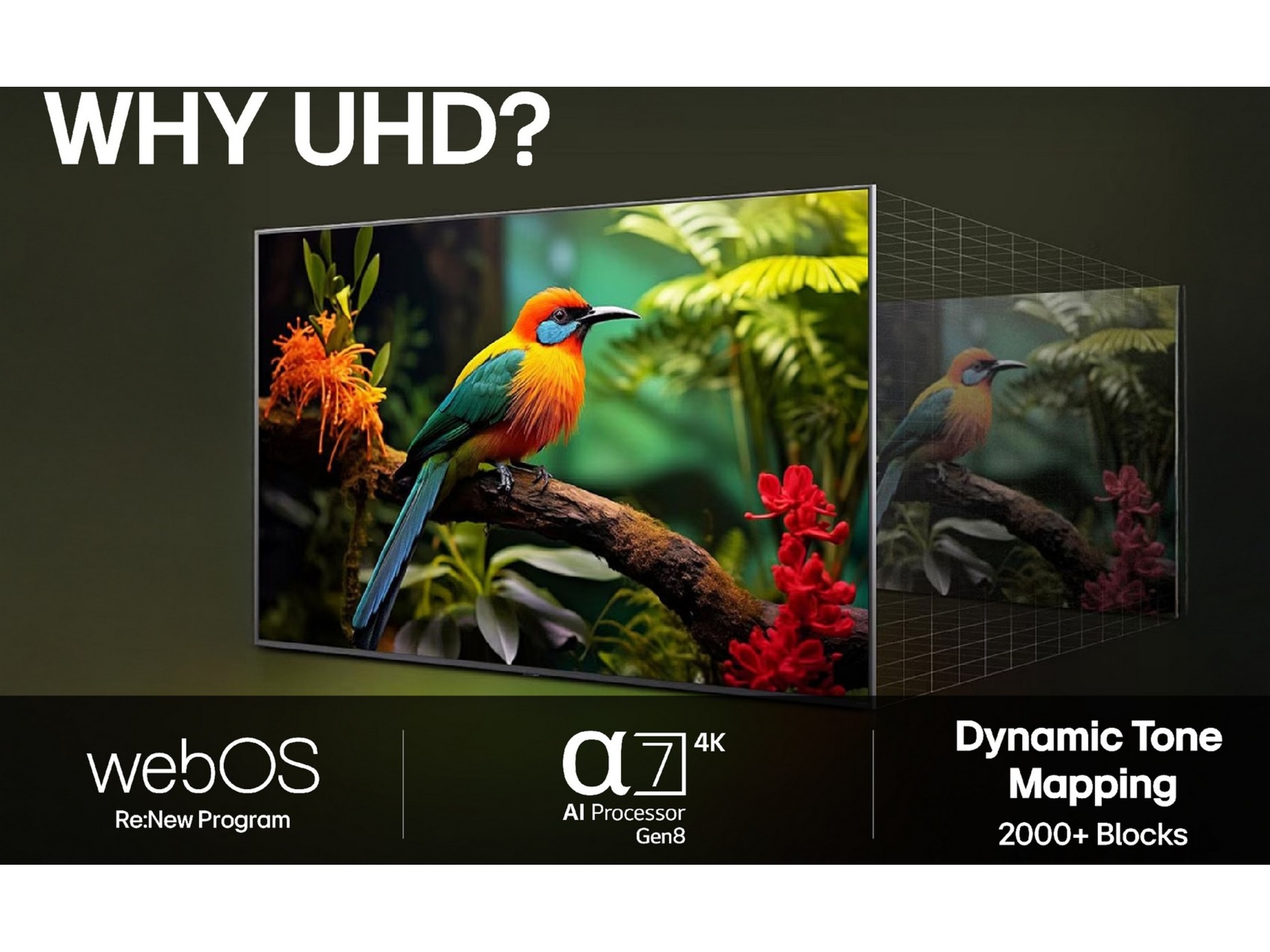 LG 86'' UA75 AI 4k Smart-TV (2025) + NS60 Lydplanke Over 80 tommer TV