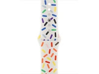 Apple Watch 45mm Sport Band Pride Edition Reim