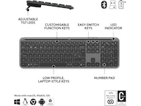 Logitech Signature Slim Combo MK950 for Business (graphite) Mus & tastatur -kombipakker
