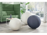 Leitz Ergo Active Anti-Roll Balanseball (mørk grå) Kontorstoler