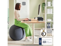 Leitz Ergo Active Anti-Roll Balanseball (mørk grå) Kontorstoler