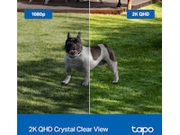 TP-Link Tapo C425 utendørs overvåkningskamera Overvåkningskameraer