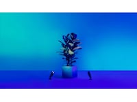 WiZ 12V Utvidelse for bakkespotlys Gulvlampe