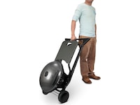 Austin and Barbeques elektrisk grill med stativ Grill