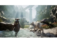 Beast of Reincarnation Deluxe Edition Spill til Playstation 5