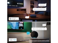 Philips 50'' PUS8001 4K Ambilight LED Smart-TV (2026) 50 - 59 tommer TV