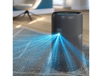 AC2221/13 WEU AIR PURIFI.GENERAL PLUS GY -B-Grade Demo hjem & fritid