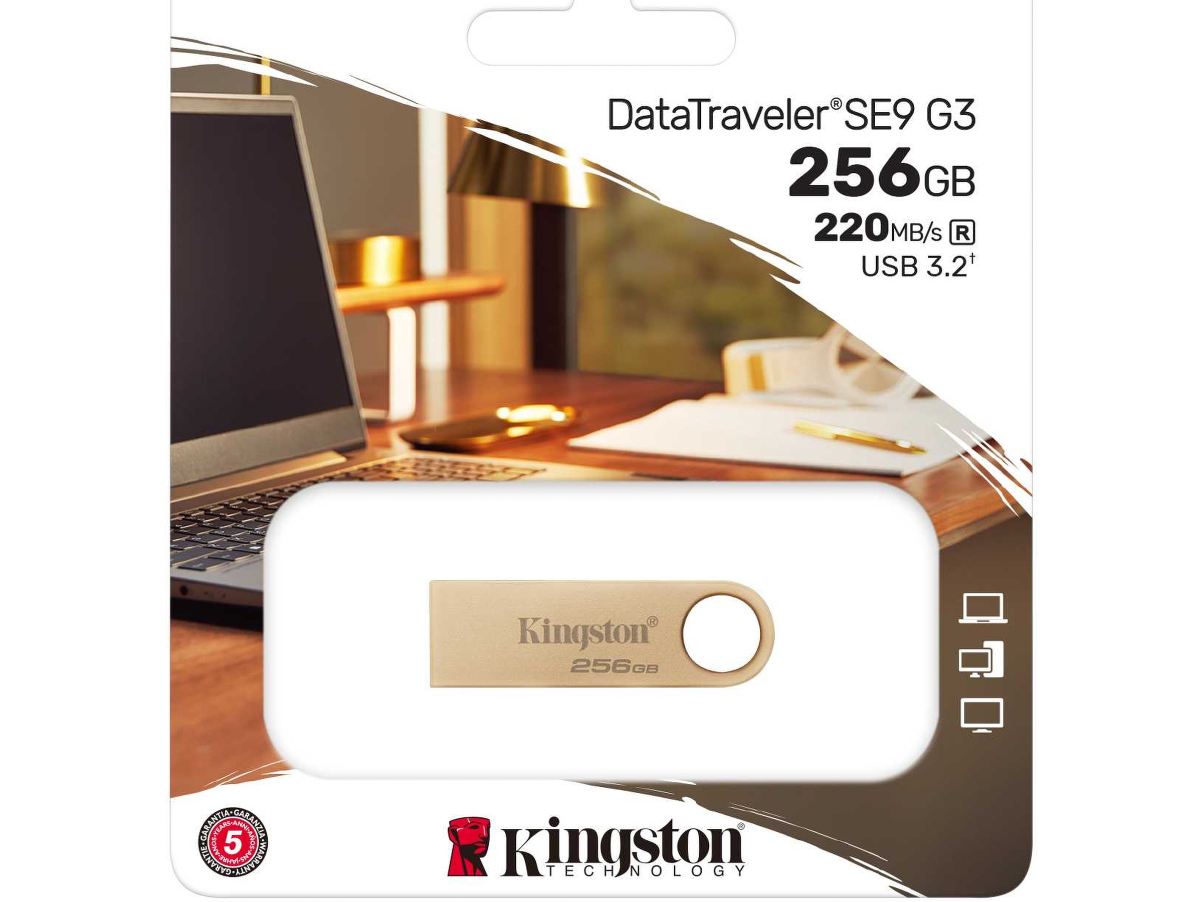 Kingston DataTraveler DTSE9 256GB Minnepenn / USB