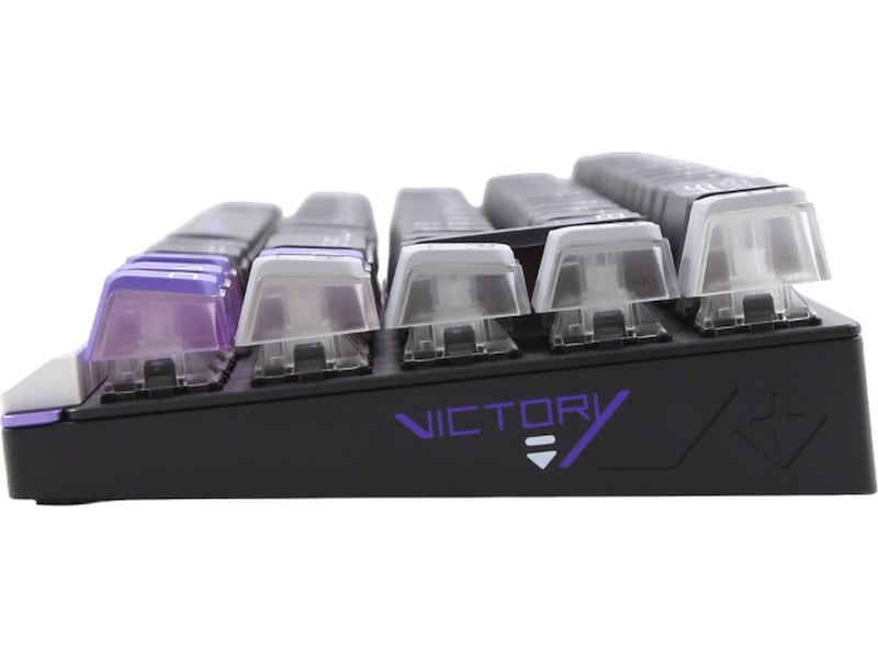 Varmilo Victory 67 TKL 65% Gamingtastatur Gamingtastatur