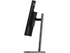Lenovo 34" skjerm ThinkVision P34WD-40 Skjermer