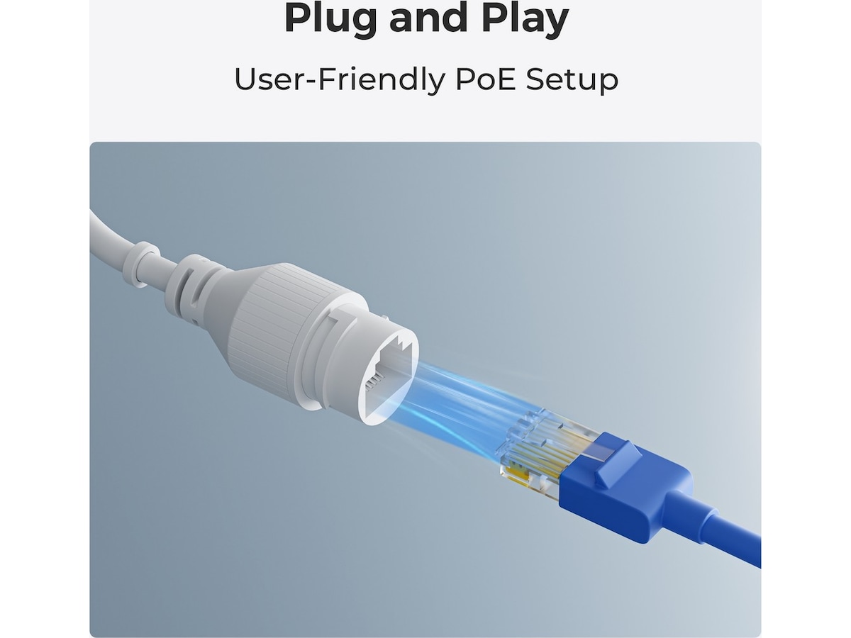 Reolink NVS8 8-Channel NVR + 2TB HDD Overvåkningskameraer