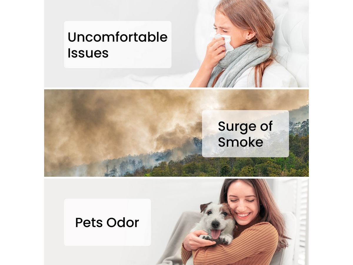 Smartmi Air Purifier P1 Filter (dyreallergi) Luftrensere