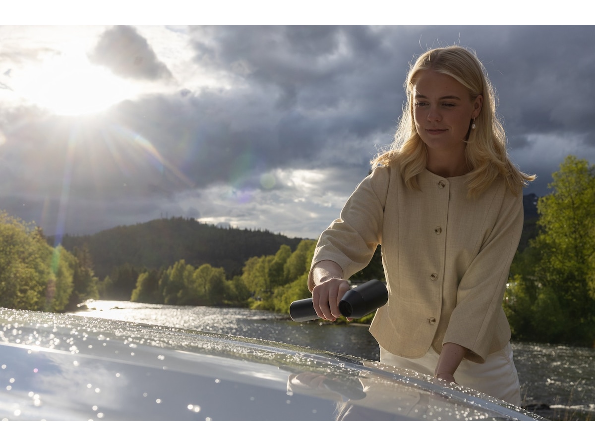 Hedgehog JET håndholdt luftblåser (sort) Rens