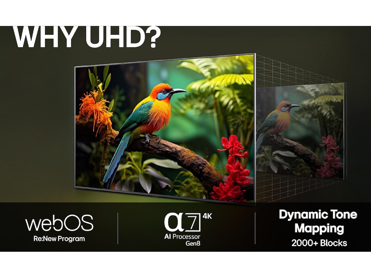 LG 75'' UA75 AI 4k Smart TV (2025) 70 - 79 tommer TV